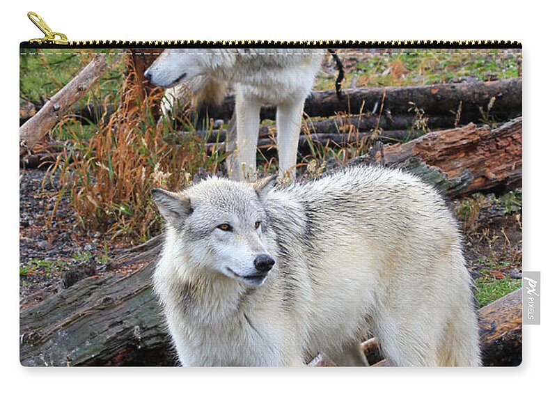 Wolves Zip Pouch featuring the photograph Twin Wolves by Athena Mckinzie
