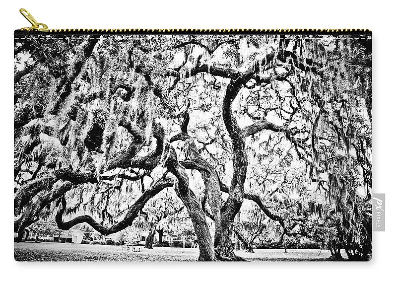 Oak Zip Pouch featuring the photograph Twisted Oak by Chauncy Holmes