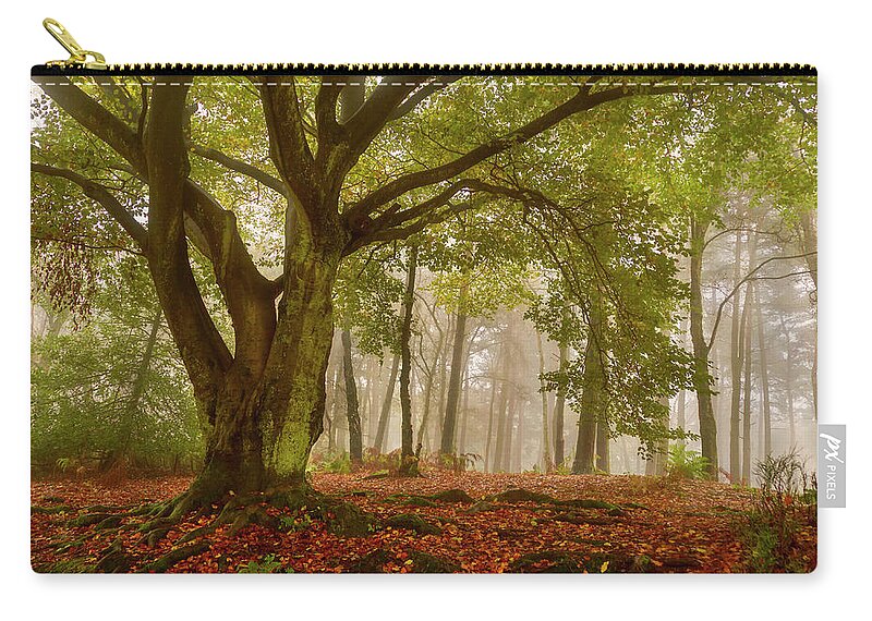 Tranquility Zip Pouch featuring the photograph Twisted Old Tree In Foggy Autumn Forest by Verity E. Milligan