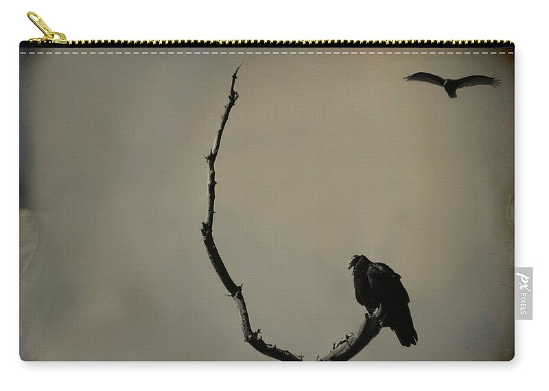 Two Vultures Zip Pouch featuring the photograph Two Buzzards by Gothicrow Images