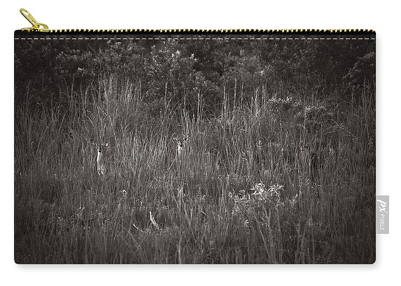 Florida Zip Pouch featuring the photograph Two Deer Hiding by Bradley R Youngberg