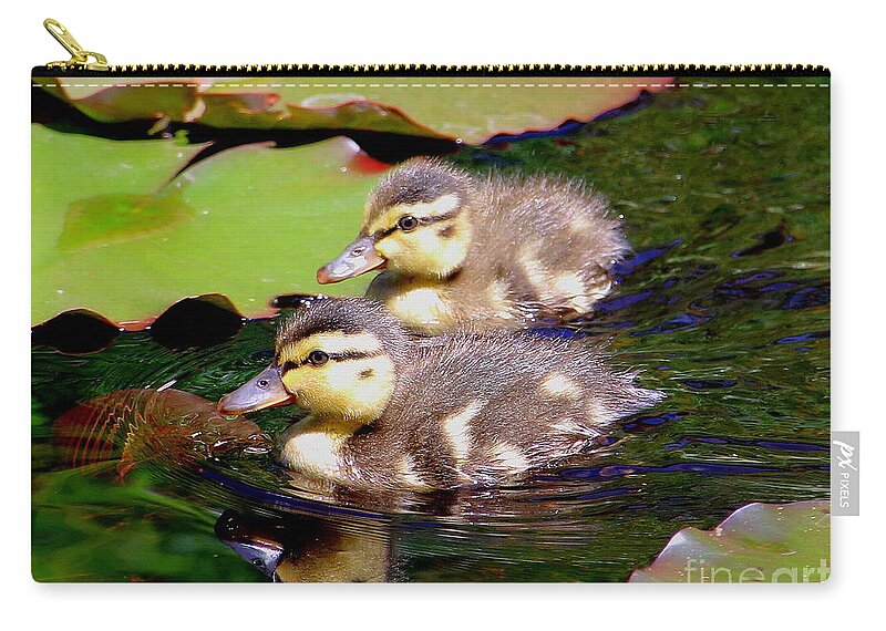 Ducklings Carry-all Pouch featuring the photograph Two Ducklings by Amanda Mohler