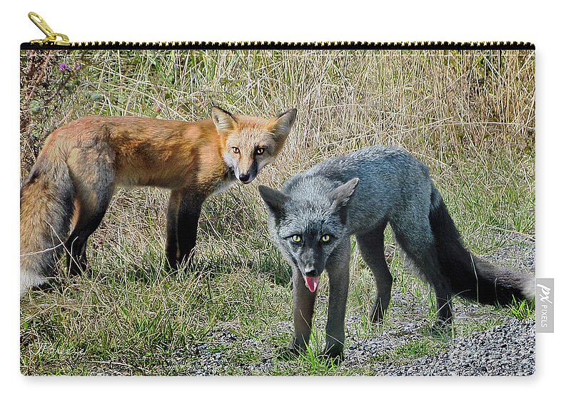 Fox Zip Pouch featuring the photograph Two Fox Seattle by Jennie Breeze