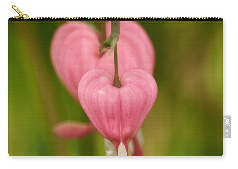 Flowers Zip Pouch featuring the photograph Two Hearts Beat As One by Dorothy Lee