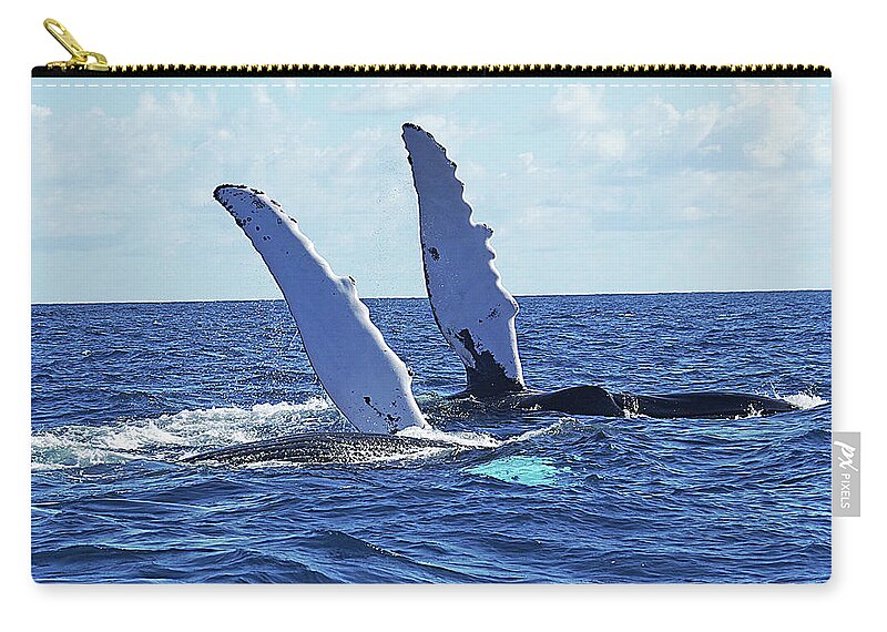 Animal Themes Zip Pouch featuring the photograph Two Humpback Whales by Sallyrango