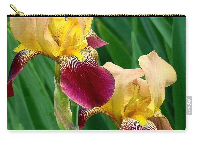 Fine Art Zip Pouch featuring the photograph Two Iris by Rodney Lee Williams