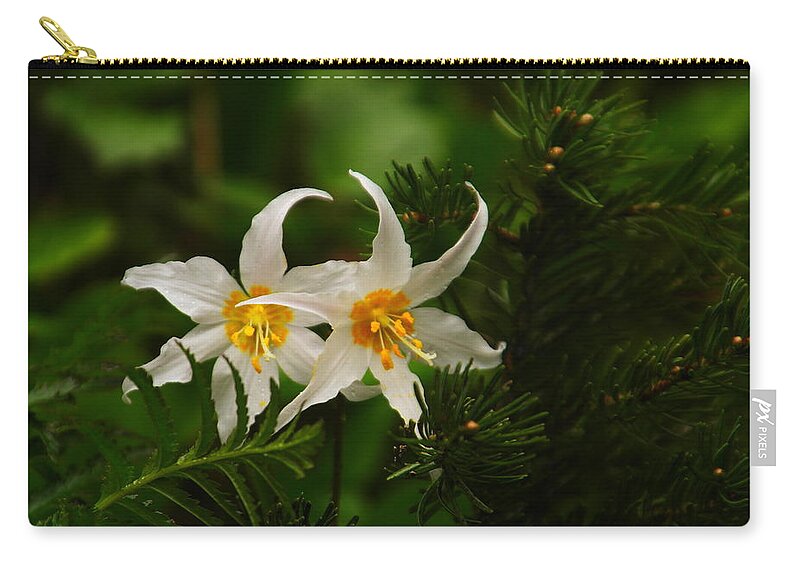 Flowers Zip Pouch featuring the photograph Two Lilies by Jeff Swan