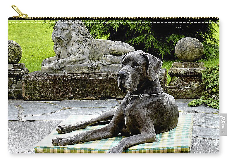 Dog Zip Pouch featuring the photograph Two Lions by Barbara Zahno
