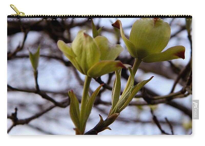 Dogwood Zip Pouch featuring the photograph Two of a kind by Andrea Anderegg