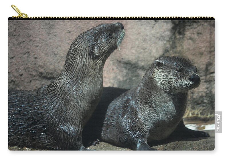 Otter Zip Pouch featuring the photograph Two Otters by Maggy Marsh
