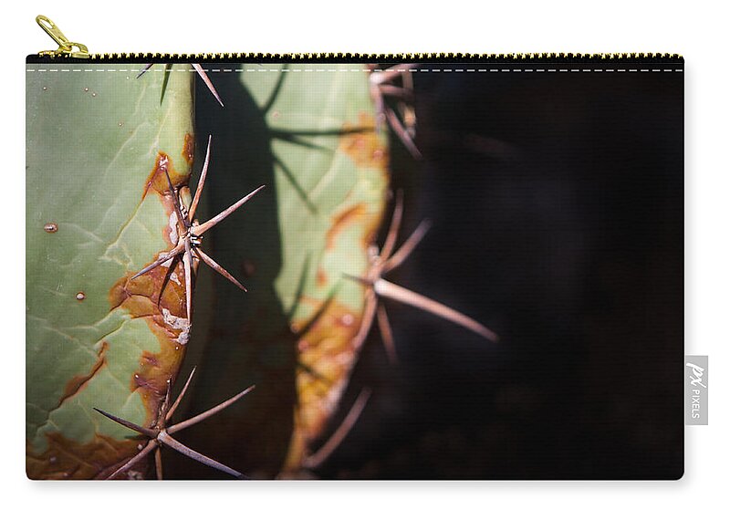 Botanical Zip Pouch featuring the photograph Two Shades of Cactus by John Wadleigh