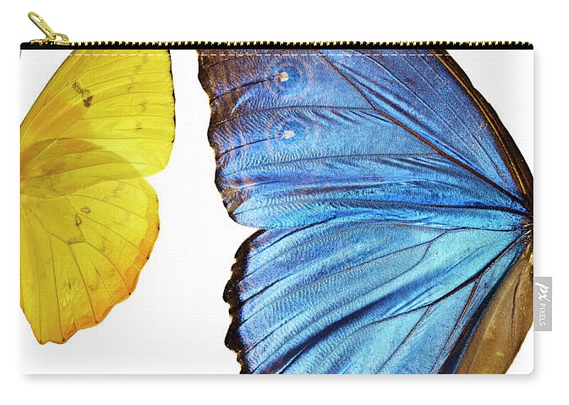 White Background Zip Pouch featuring the photograph Two Types Of Butterfliesside By Side by Ballyscanlon