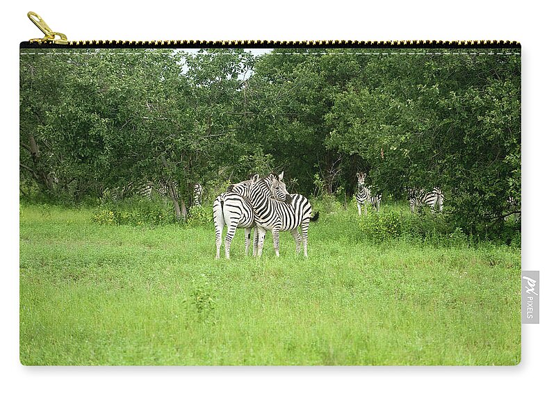Botswana Zip Pouch featuring the photograph Two Zebra by Stevenallan