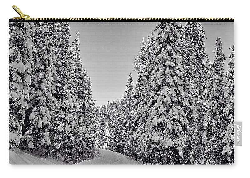 Umatilla Forest Zip Pouch featuring the photograph Umatilla Forest trail in black and white by Lynn Hopwood