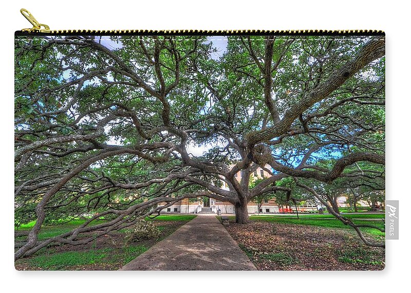 Century Tree Zip Pouch featuring the photograph Under the Century Tree by David Morefield
