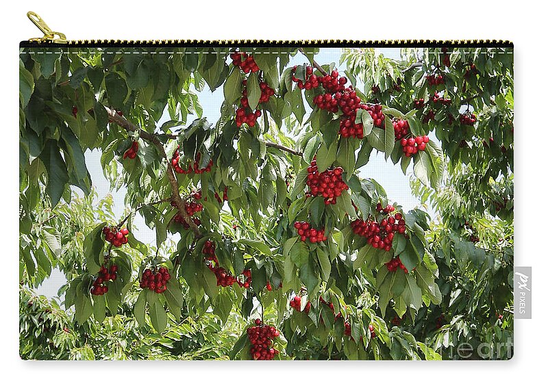 Cherry Zip Pouch featuring the photograph Under the Cherry Tree by Carol Groenen