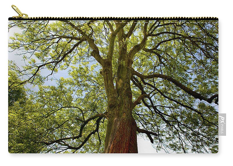 Tranquility Zip Pouch featuring the photograph Under Tree by Reinhard Goldmann