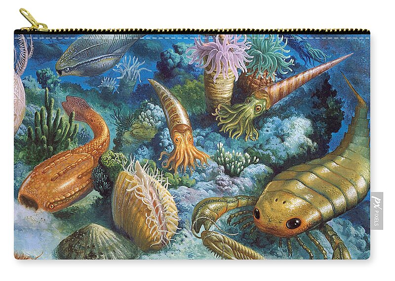 Illustration Zip Pouch featuring the photograph Underwater Life During The Paleozoic by Publiphoto