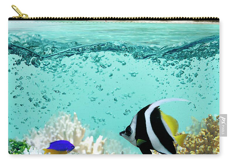 Bedrock Zip Pouch featuring the photograph Underwater Life In Tropical Sea by Narvikk
