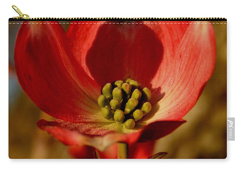Dogwood Zip Pouch featuring the photograph Unique Dogwood by Karen Harrison Brown