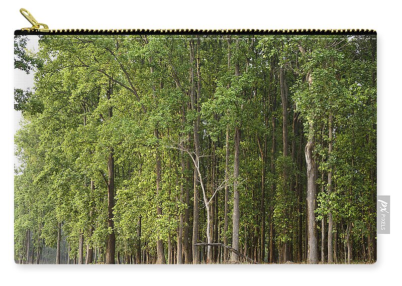 Green Zip Pouch featuring the photograph Into the Woods by Fotosas Photography