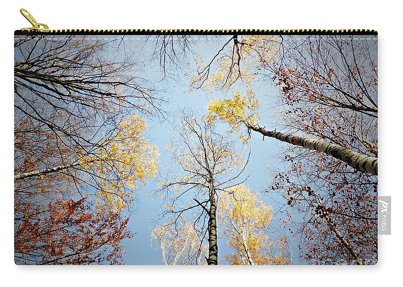 Birches Zip Pouch featuring the photograph Upside down autumn by Amalia Suruceanu