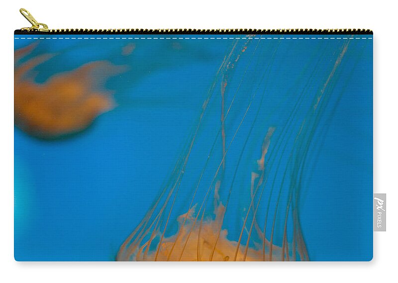 Jellyfish Zip Pouch featuring the photograph Upside Down Sea Nettle by Scott Campbell