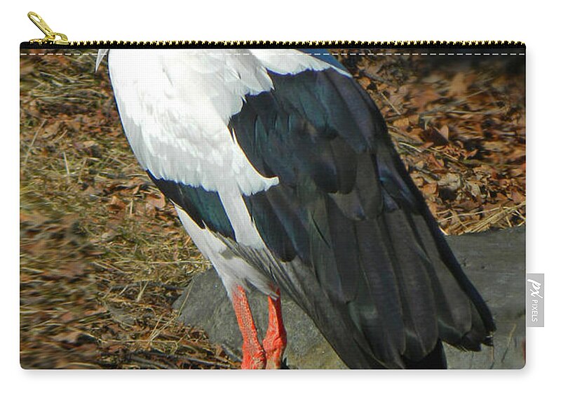 Upside Down View Zip Pouch featuring the photograph Upside Down View by Emmy Marie Vickers