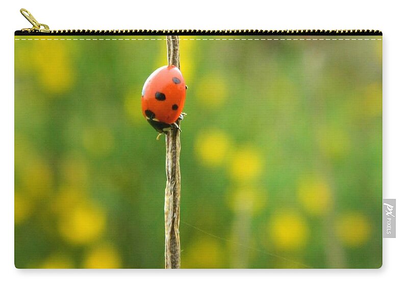 Ladybug Carry-all Pouch featuring the photograph Upsidedown Ladybug by Gallery Of Hope 
