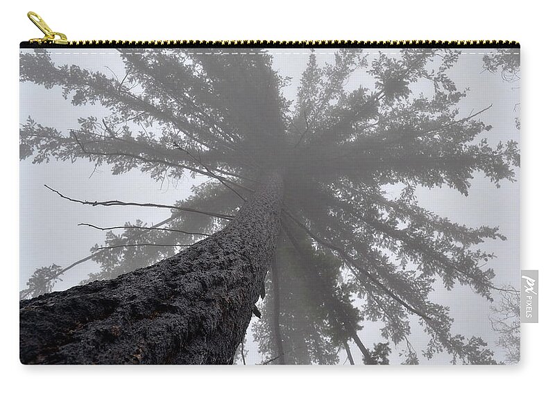 Fog Zip Pouch featuring the photograph Upward by Jody Partin