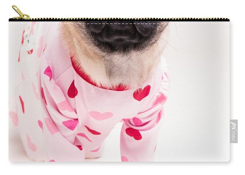 Pug Zip Pouch featuring the photograph Valentine's Day - Adorable Pug Puppy in Pajamas by Edward Fielding