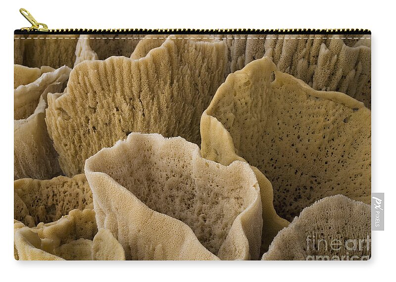 Sponges Zip Pouch featuring the photograph Vase Sponges by John Greco