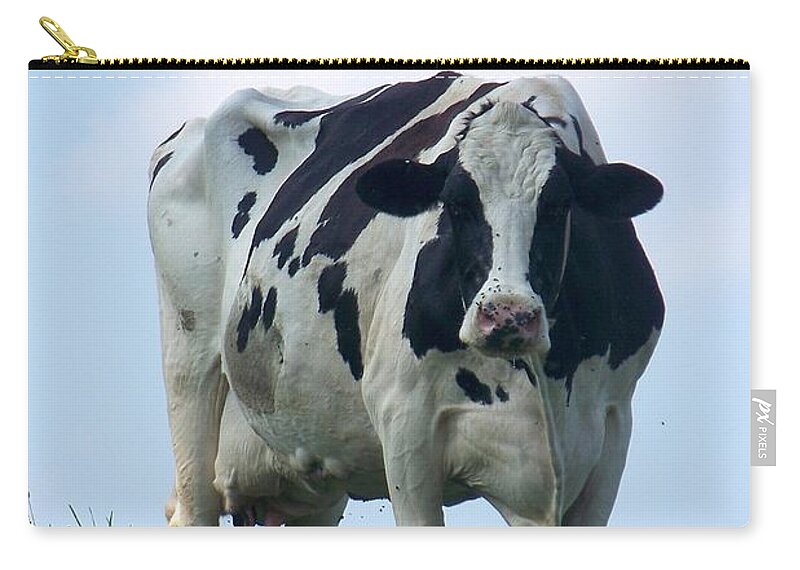 Cows Zip Pouch featuring the photograph Vermont Dairy Cow by Eunice Miller
