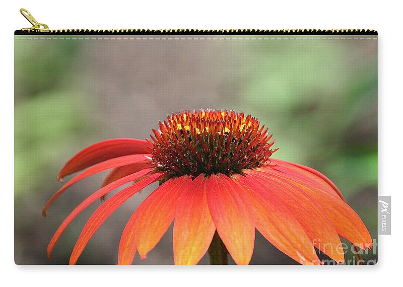 Cone Flower Zip Pouch featuring the photograph Vibrant Cone by Susan Herber