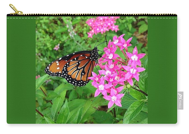 Butterfly Zip Pouch featuring the photograph Viceroy Butterfly by Katie Cupcakes