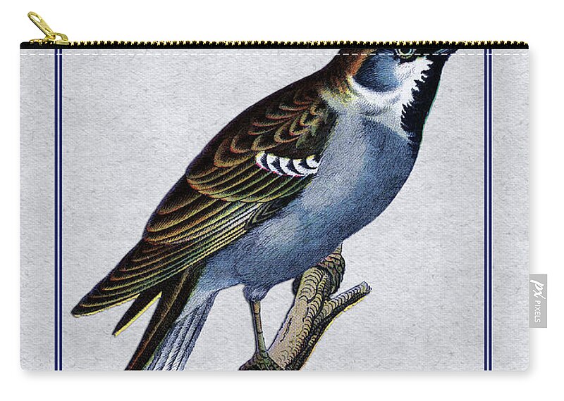 Antique Vintage Traditional Bird Birds Realistic Formal Animal Wild Flying Avian Feathers  Zip Pouch featuring the painting Vintage English Sparrow Vertical by Elaine Plesser