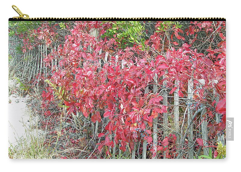 Fall Zip Pouch featuring the photograph Virginia Creeper Vine on Dune Fence - Fall Colors by Carol Senske
