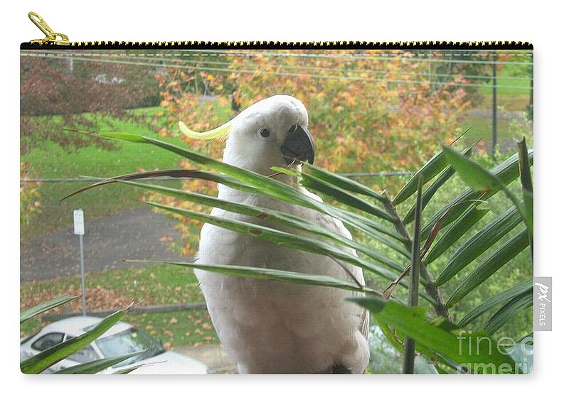 White Cockatoo Zip Pouch featuring the photograph Visitor On My Balcony by Leanne Seymour