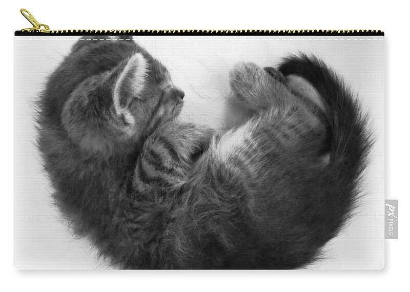 Vulnerable Zip Pouch featuring the photograph Vulnerable by Marianna Mills