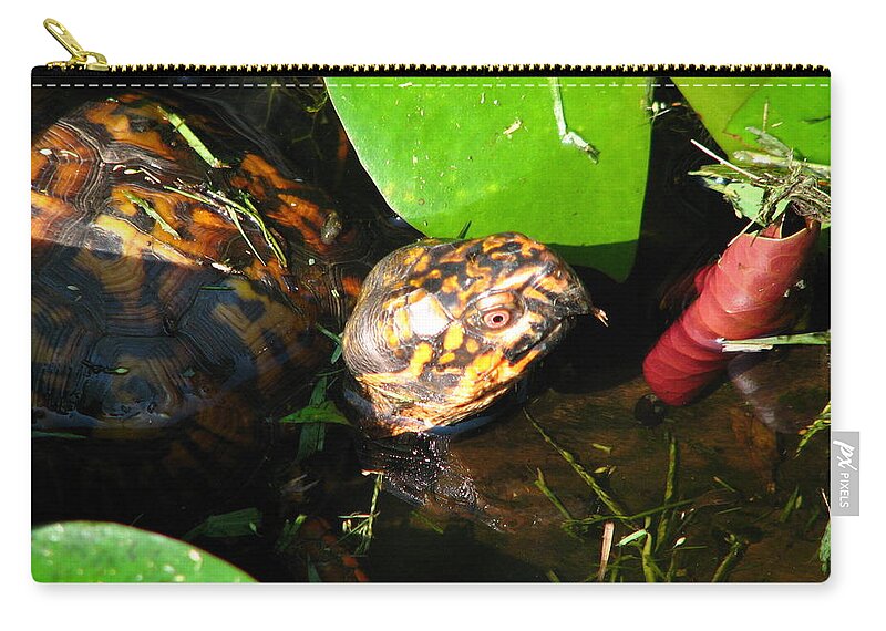 Box Turtle Zip Pouch featuring the photograph Wade in the Water by Cleaster Cotton