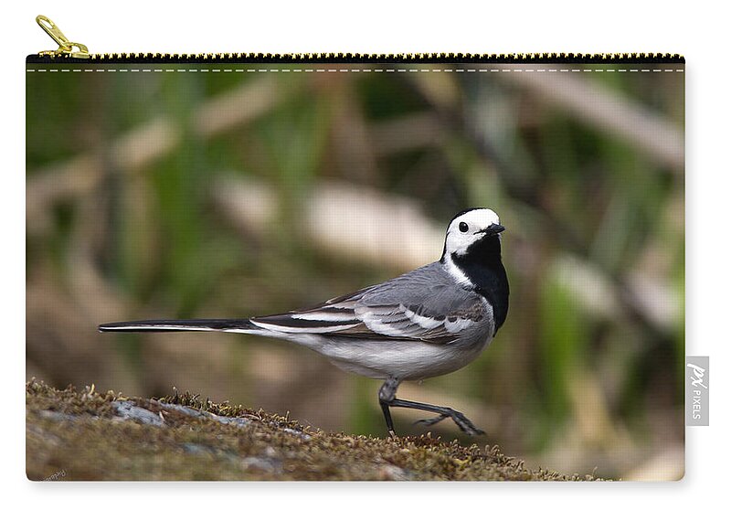 Wagtail's Step Carry-all Pouch featuring the photograph Wagtail's step by Torbjorn Swenelius