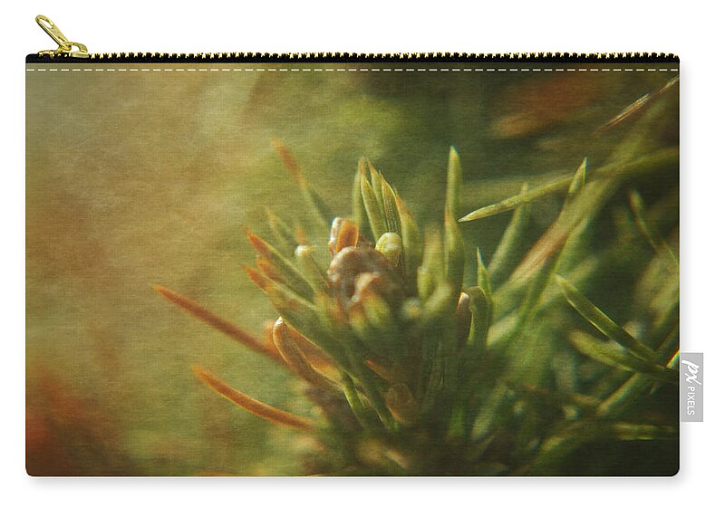 Pine Zip Pouch featuring the photograph Waiting for Spring 4 by Rhonda Barrett