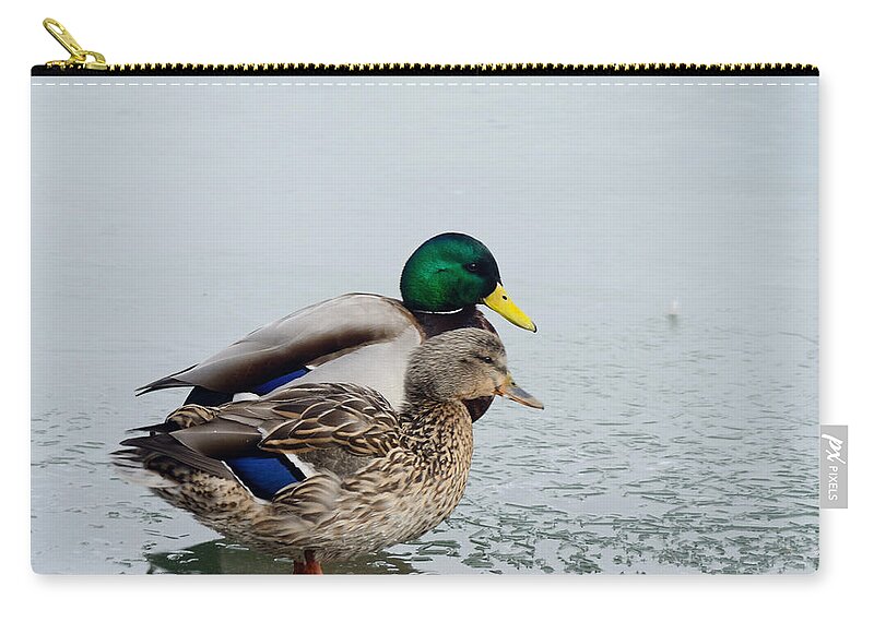 Mallards Carry-all Pouch featuring the photograph Waiting out the Rain by Kae Cheatham