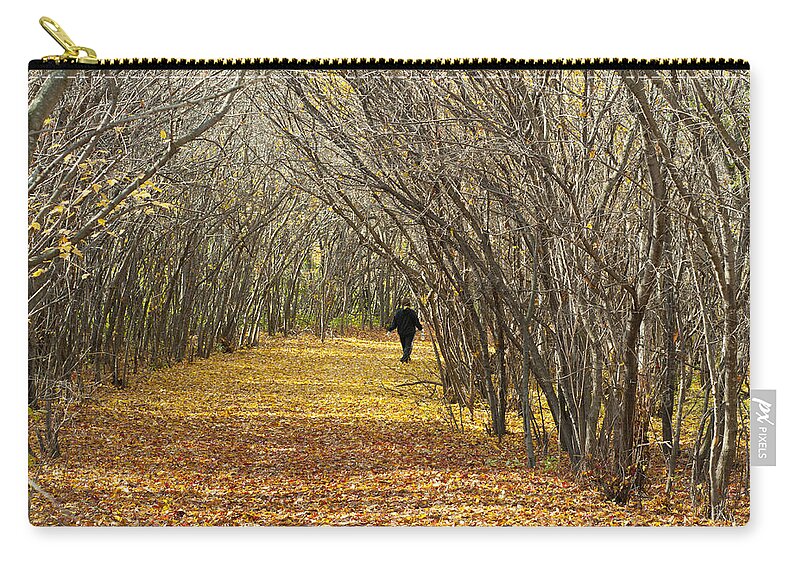 Autumn Zip Pouch featuring the photograph Walking a Golden Road by Lynn Hansen