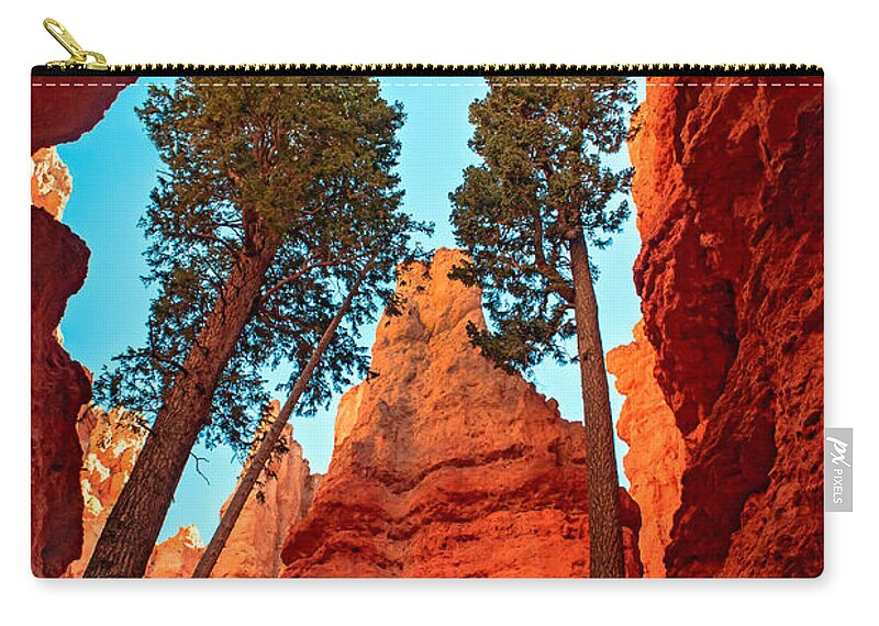  Trees Zip Pouch featuring the photograph Wall Street by Robert Bales