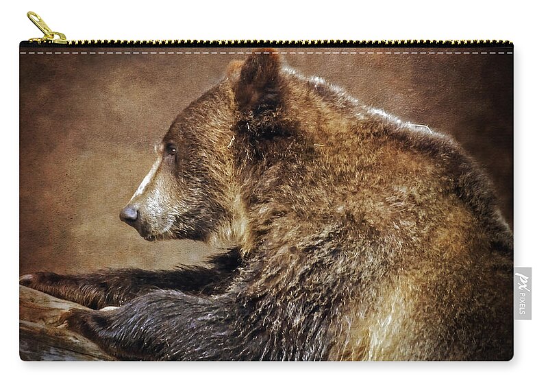 Bears Zip Pouch featuring the photograph Wandering by Elaine Malott