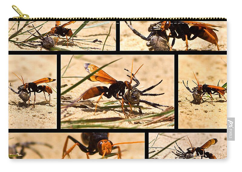Wasp Zip Pouch featuring the photograph Wasp and his kill by Miroslava Jurcik