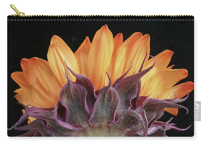 Floral Zip Pouch featuring the photograph Watch My Back by David and Carol Kelly