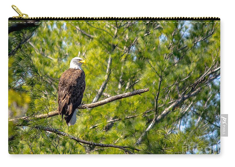 Landcape Zip Pouch featuring the photograph Watching Eye by Cheryl Baxter