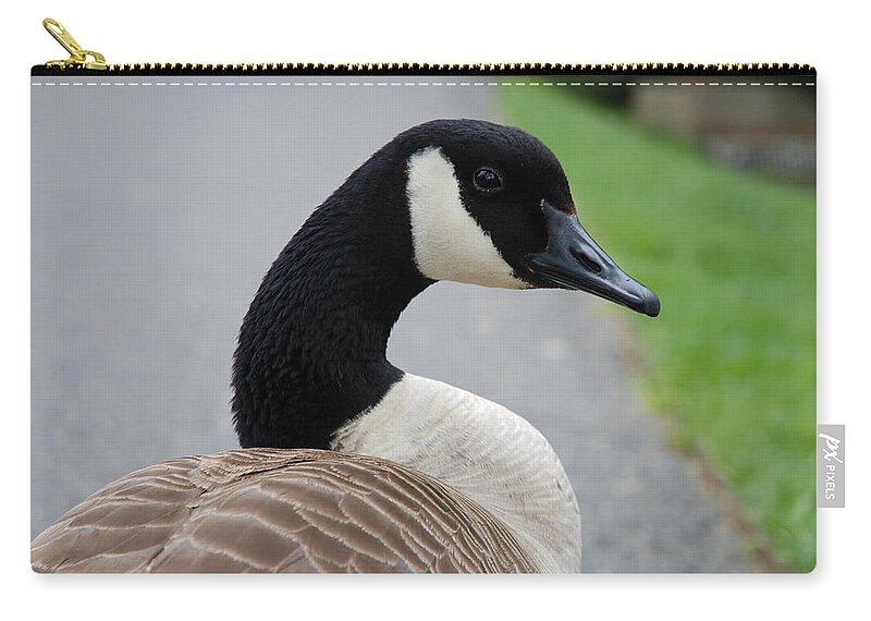 Canadian Goose Zip Pouch featuring the photograph Watching Me Watching You by Jennifer Ancker